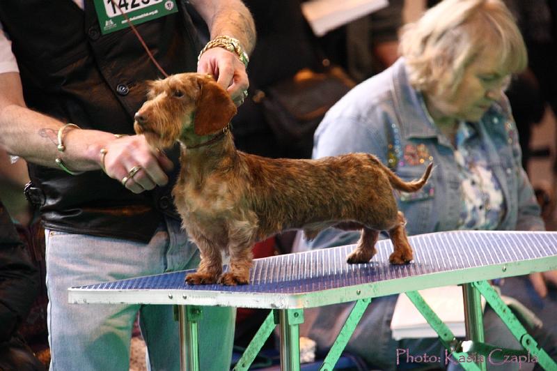 Crufts2011_2 606.jpg